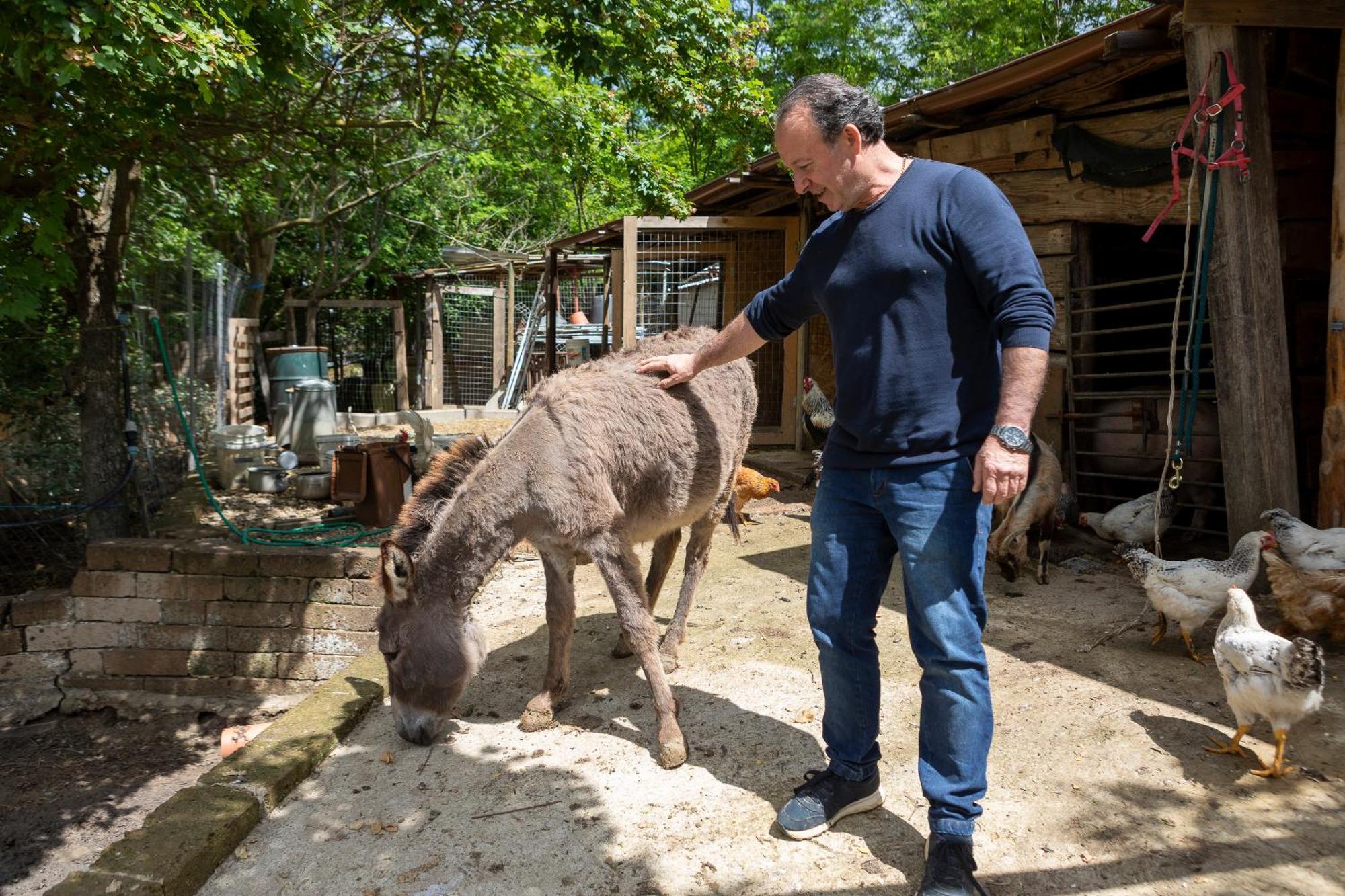Villa Lolu Terranuova Bracciolini Eksteriør billede